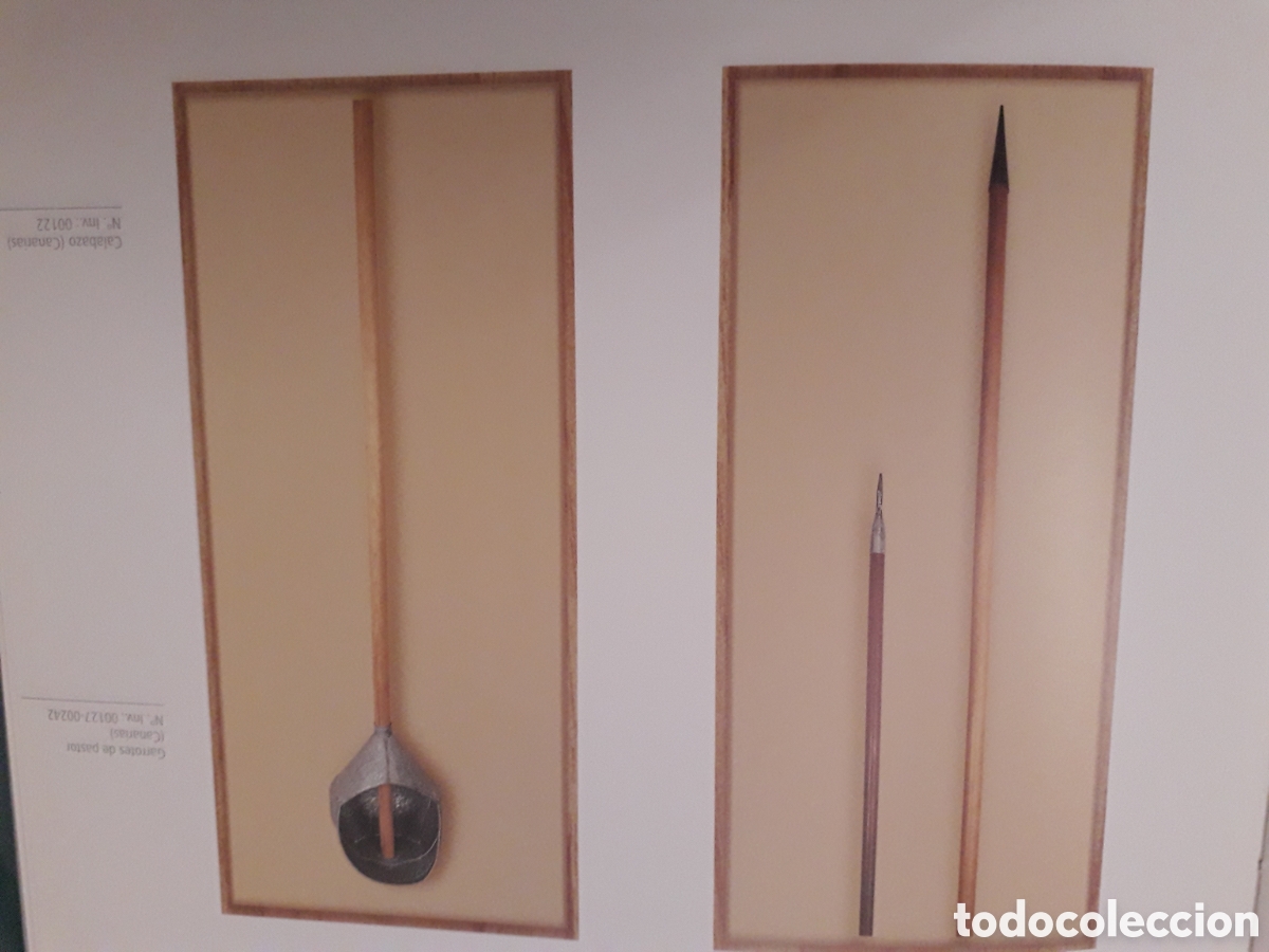 Libros de segunda mano: Museo del INEF de Madrid - Foto 3