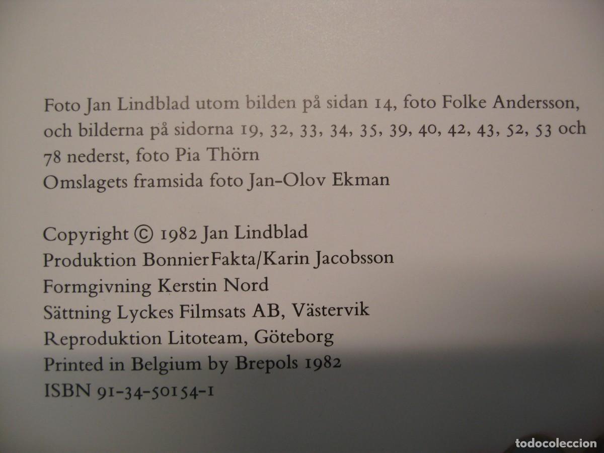 Libros de segunda mano: TIGRARNA. VART ST&Ouml;RSTA &Auml;VENTYR. JAN LINDBLAD. 1982 - Foto 6