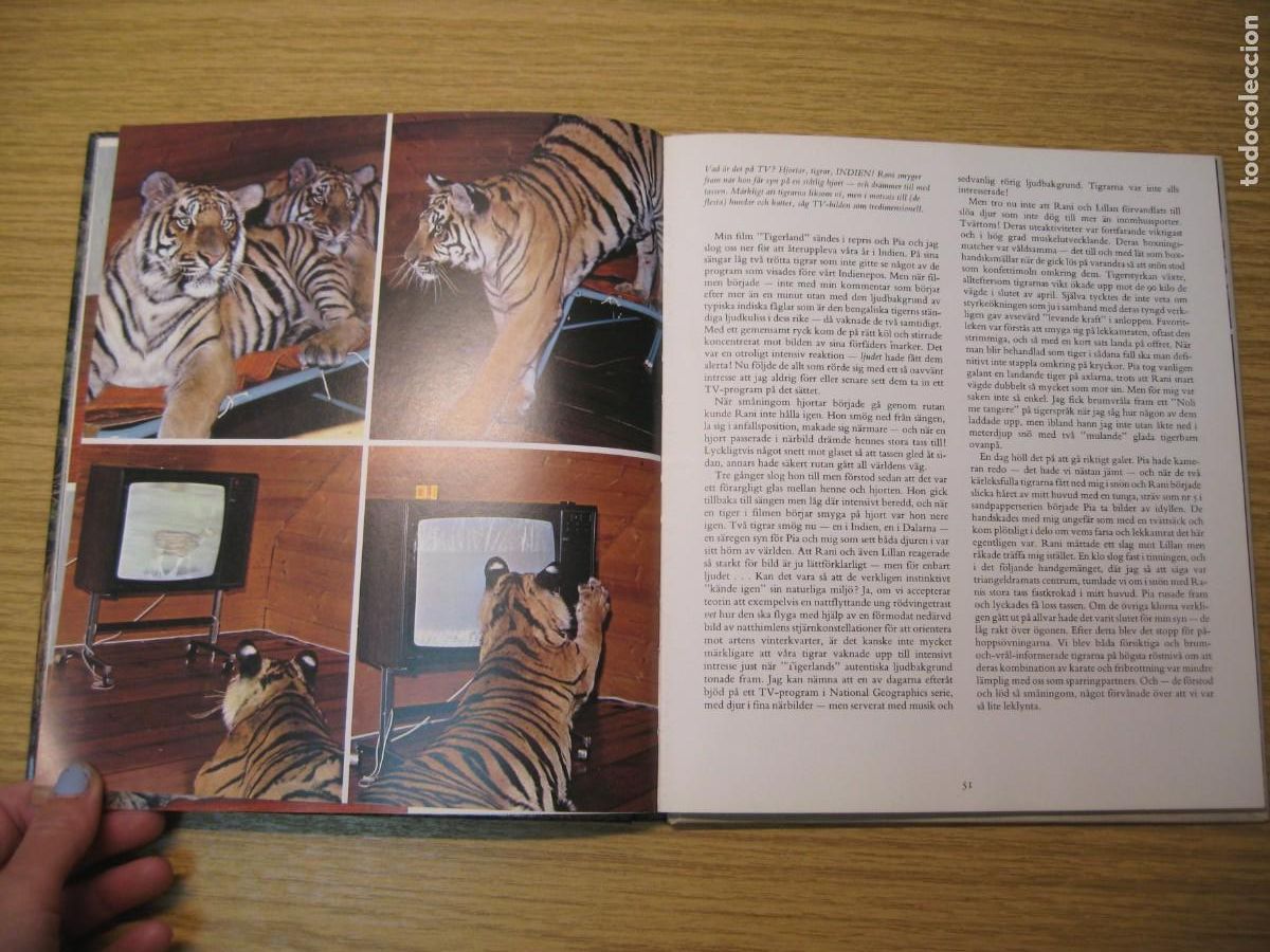 Libros de segunda mano: TIGRARNA. VART ST&Ouml;RSTA &Auml;VENTYR. JAN LINDBLAD. 1982 - Foto 13
