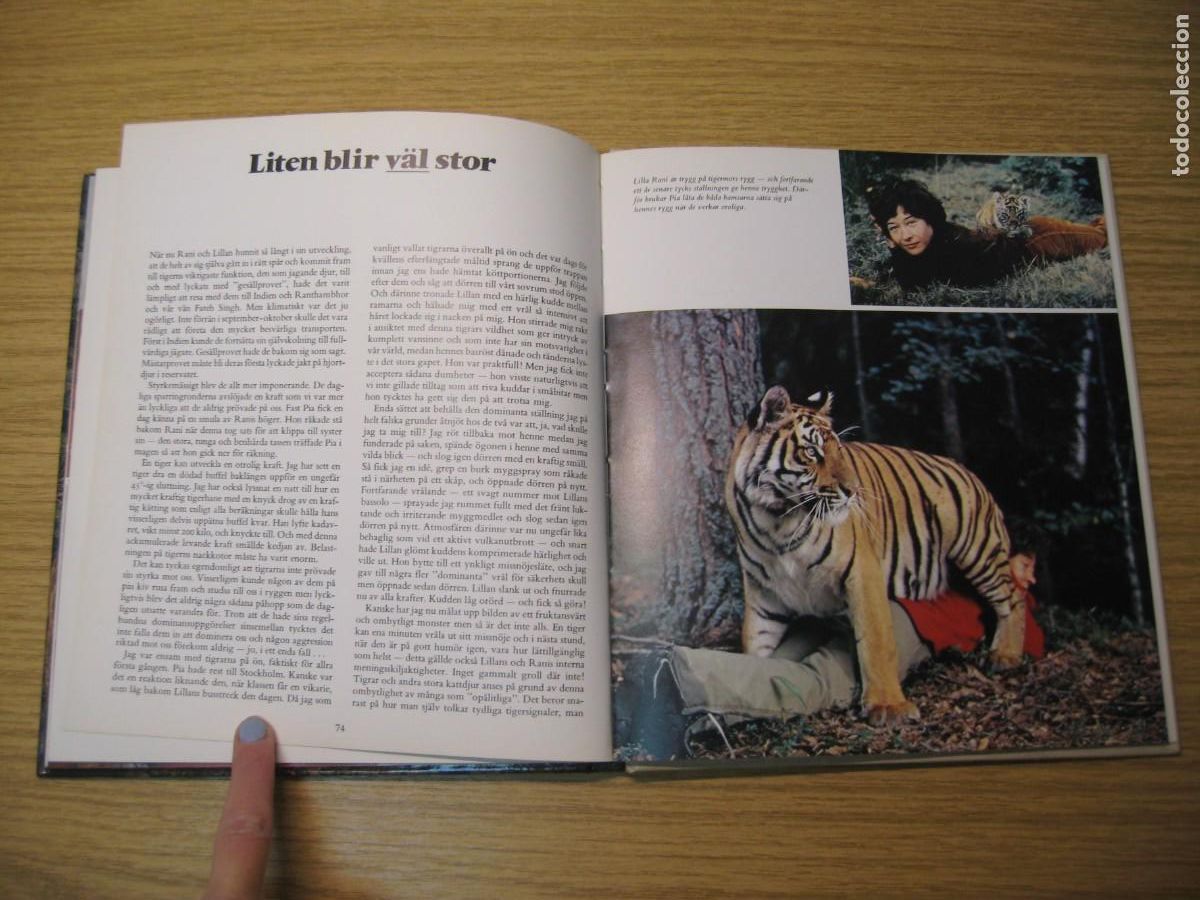 Libros de segunda mano: TIGRARNA. VART ST&Ouml;RSTA &Auml;VENTYR. JAN LINDBLAD. 1982 - Foto 14