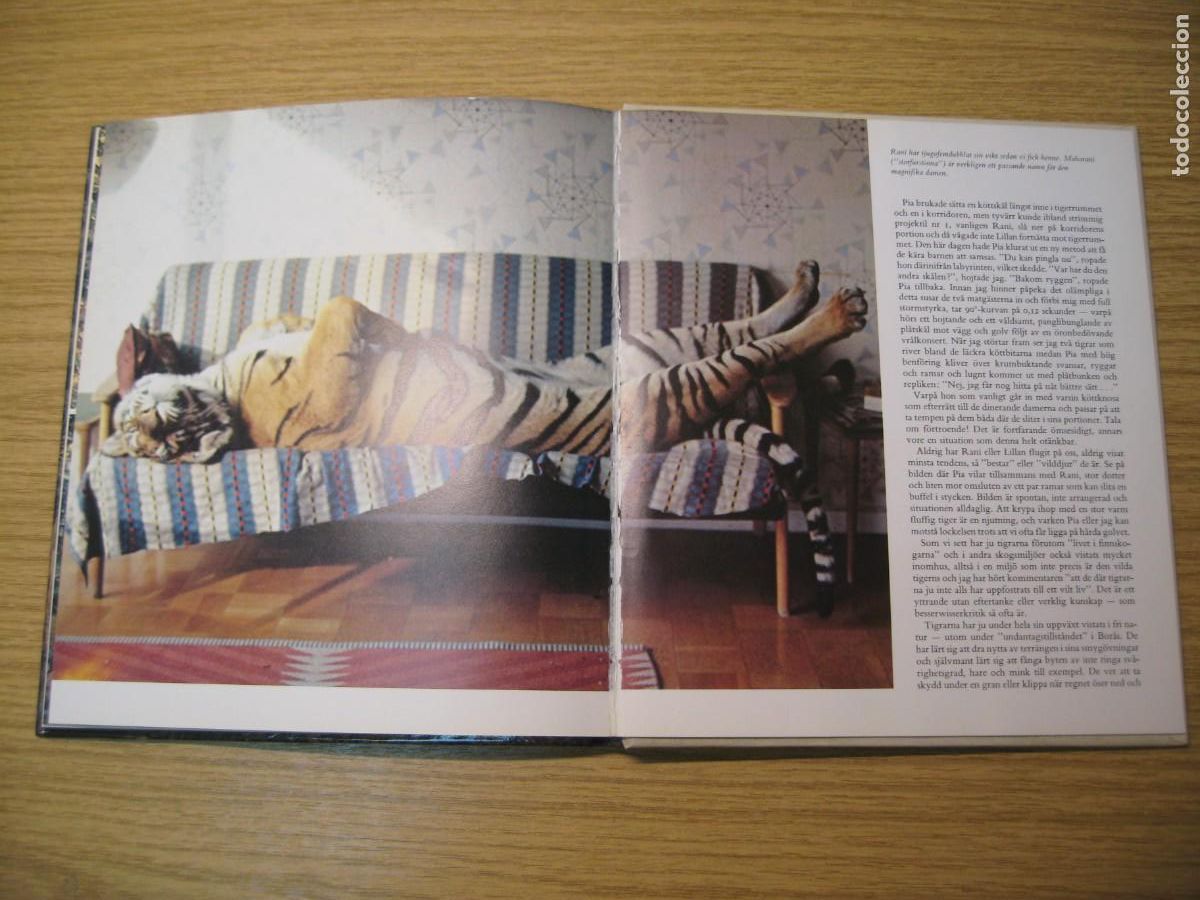 Libros de segunda mano: TIGRARNA. VART ST&Ouml;RSTA &Auml;VENTYR. JAN LINDBLAD. 1982 - Foto 15