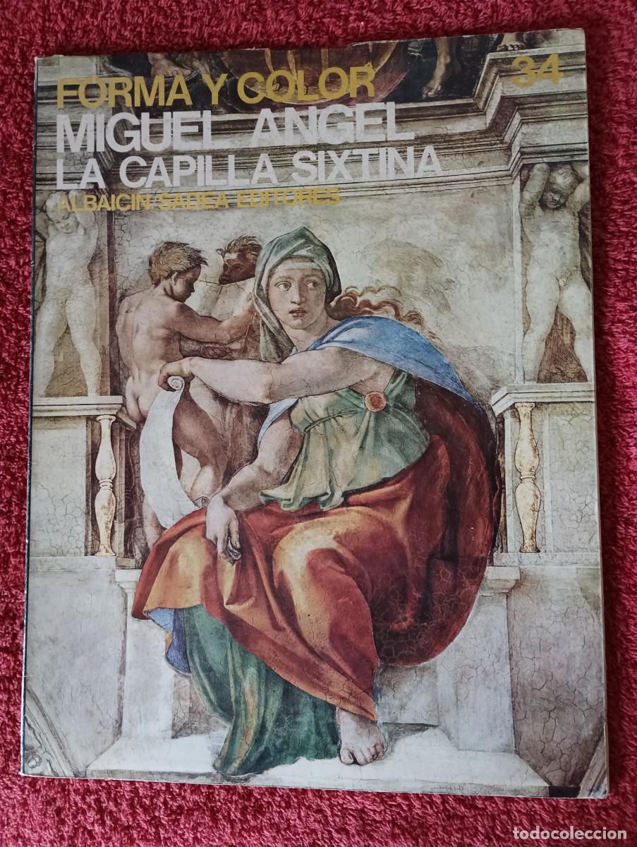 Libros de segunda mano: FORMA Y COLOR MIGUEL ANGEL LA CAPILLA SIXTINA - Foto 1