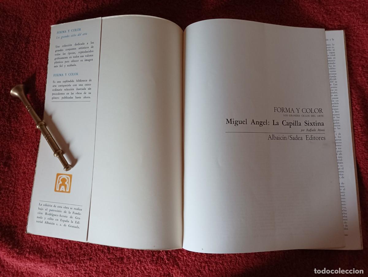 Libros de segunda mano: FORMA Y COLOR MIGUEL ANGEL LA CAPILLA SIXTINA - Foto 2