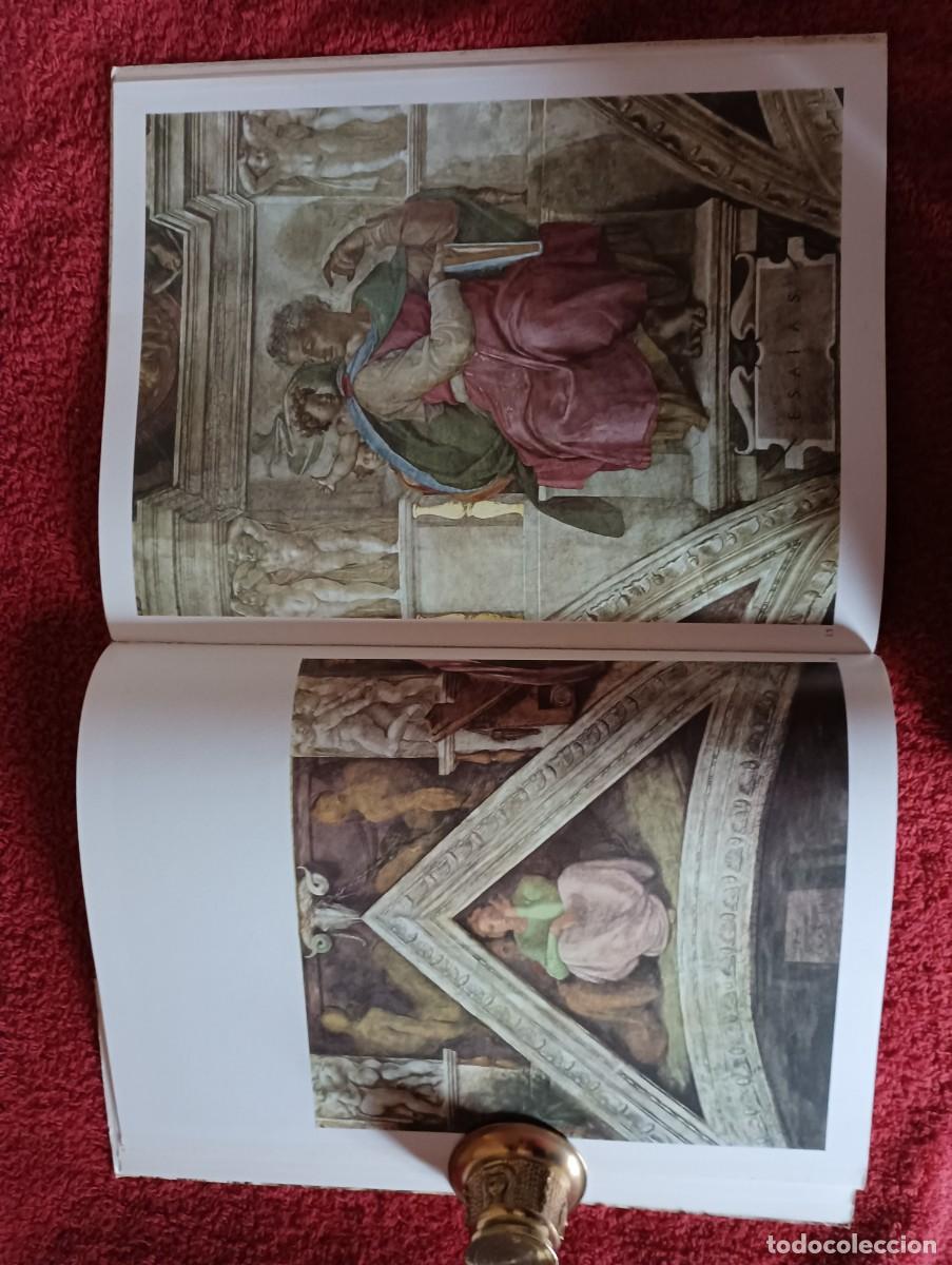 Libros de segunda mano: FORMA Y COLOR MIGUEL ANGEL LA CAPILLA SIXTINA - Foto 9