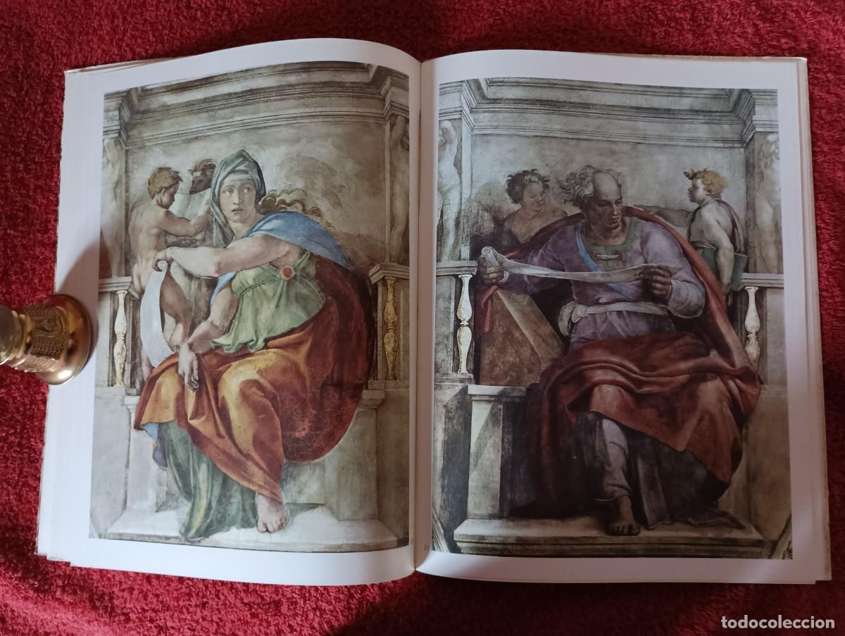 Libros de segunda mano: FORMA Y COLOR MIGUEL ANGEL LA CAPILLA SIXTINA - Foto 10