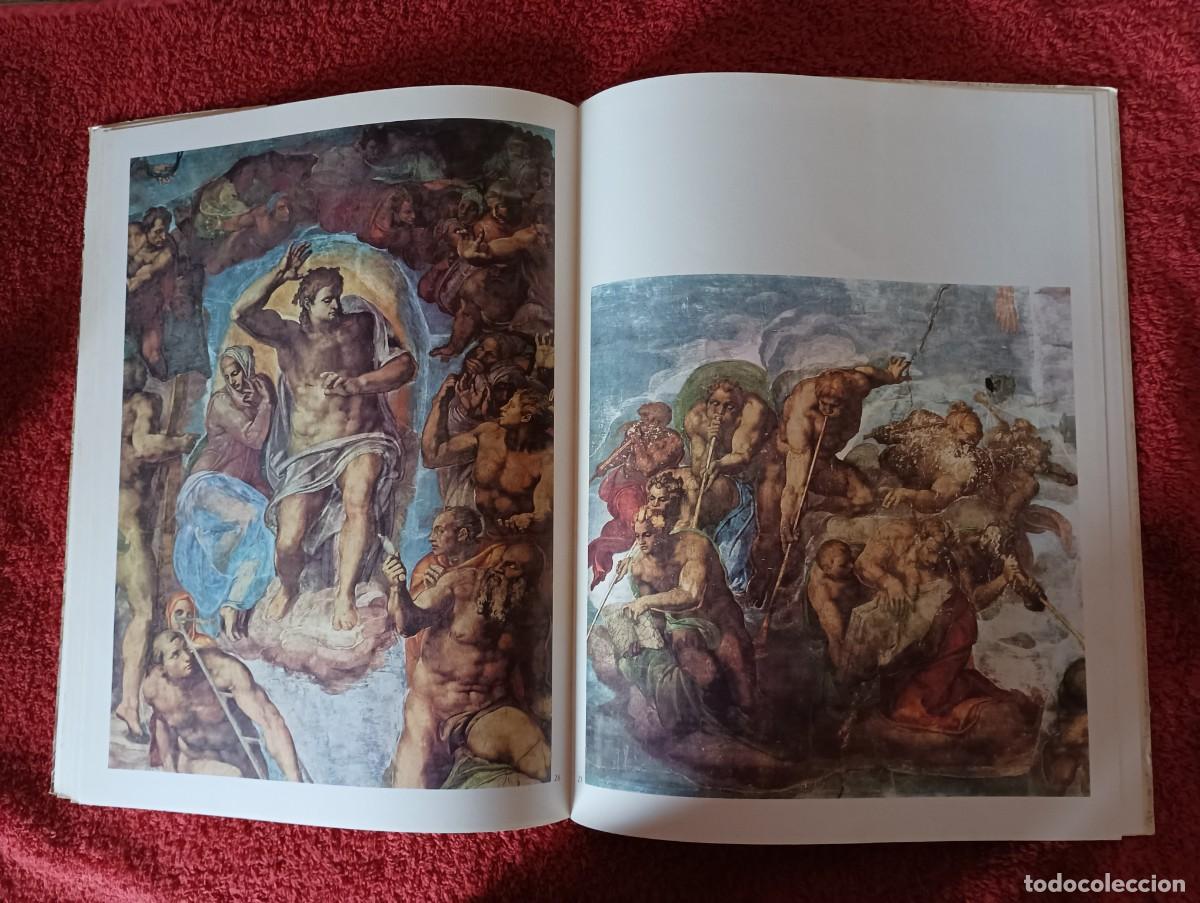 Libros de segunda mano: FORMA Y COLOR MIGUEL ANGEL LA CAPILLA SIXTINA - Foto 11