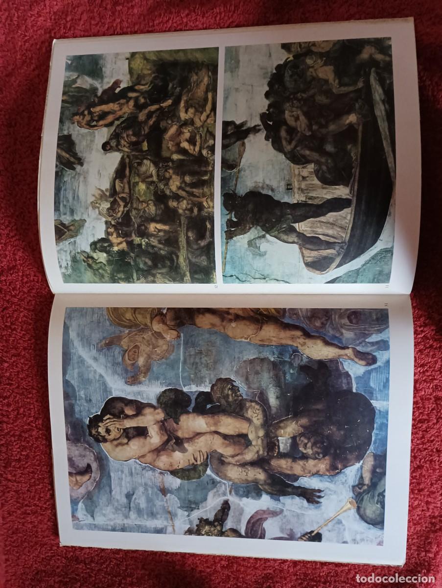 Libros de segunda mano: FORMA Y COLOR MIGUEL ANGEL LA CAPILLA SIXTINA - Foto 12