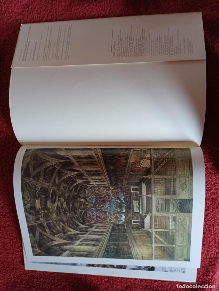 Libros de segunda mano: FORMA Y COLOR MIGUEL ANGEL LA CAPILLA SIXTINA - Foto 13