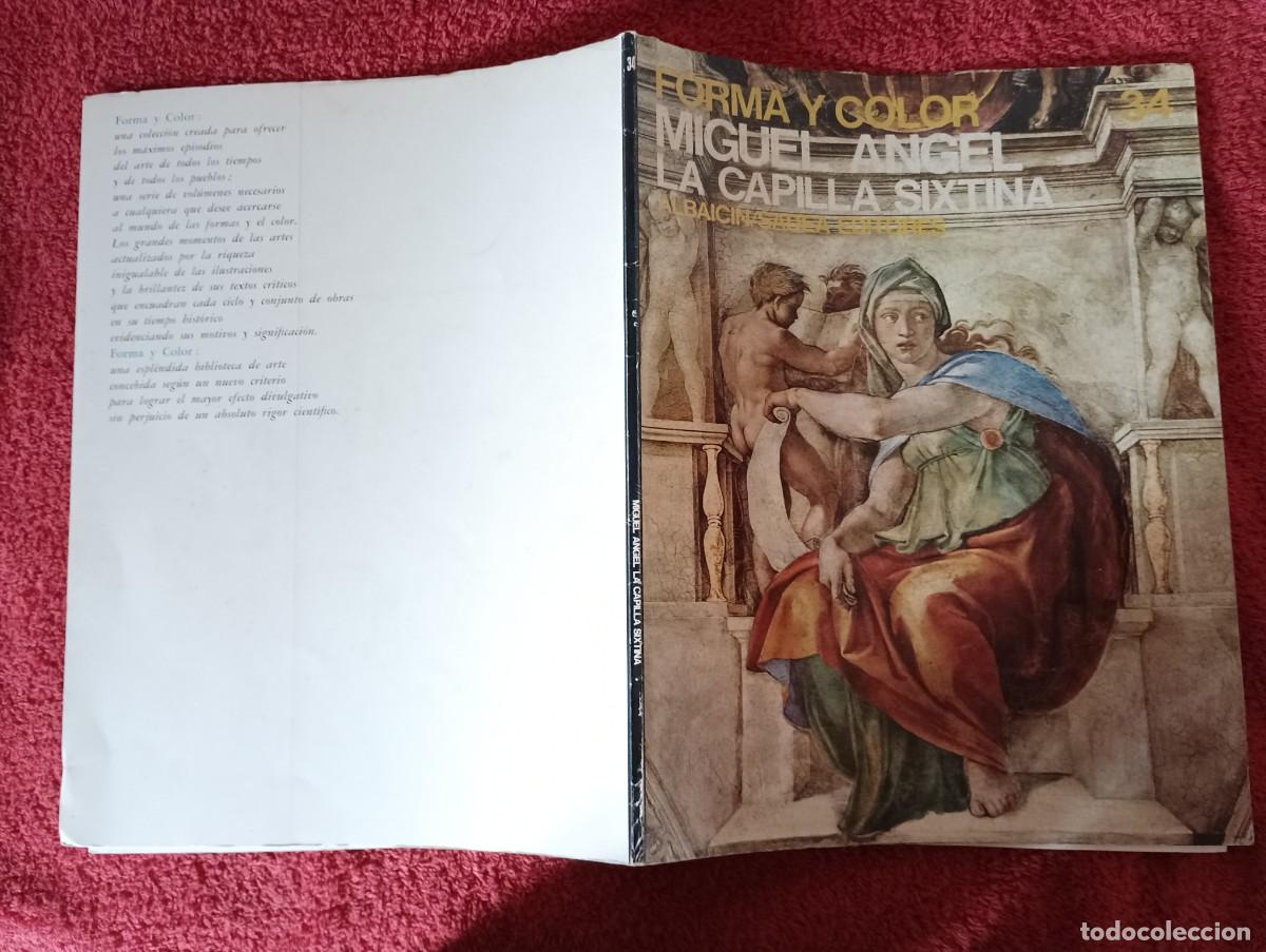 Libros de segunda mano: FORMA Y COLOR MIGUEL ANGEL LA CAPILLA SIXTINA - Foto 14