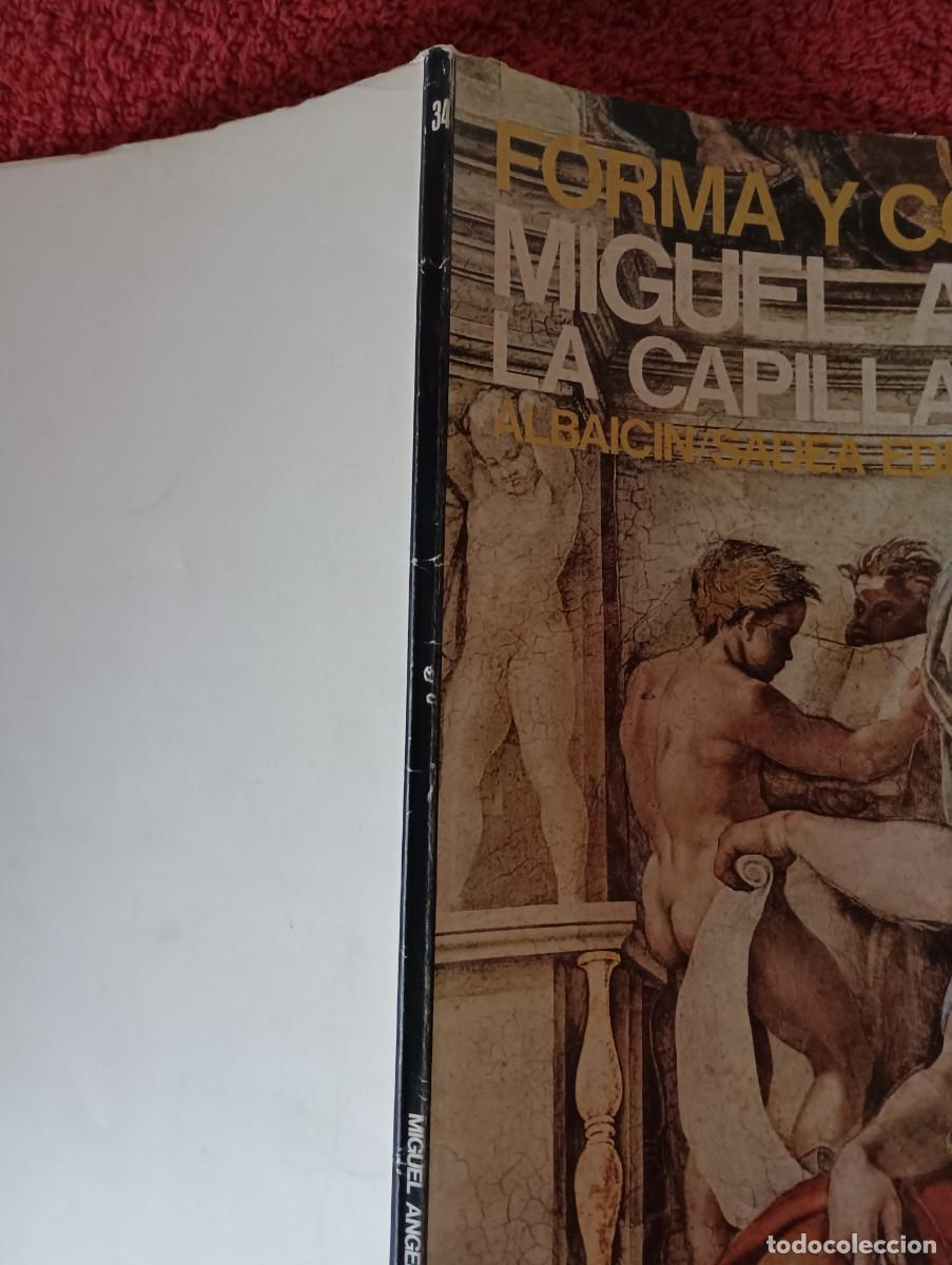 Libros de segunda mano: FORMA Y COLOR MIGUEL ANGEL LA CAPILLA SIXTINA - Foto 15