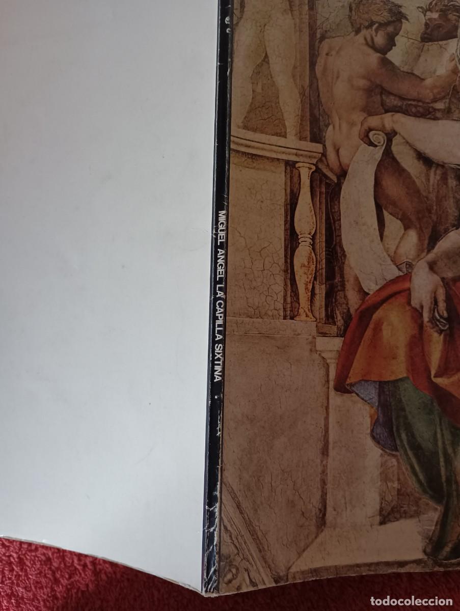 Libros de segunda mano: FORMA Y COLOR MIGUEL ANGEL LA CAPILLA SIXTINA - Foto 16