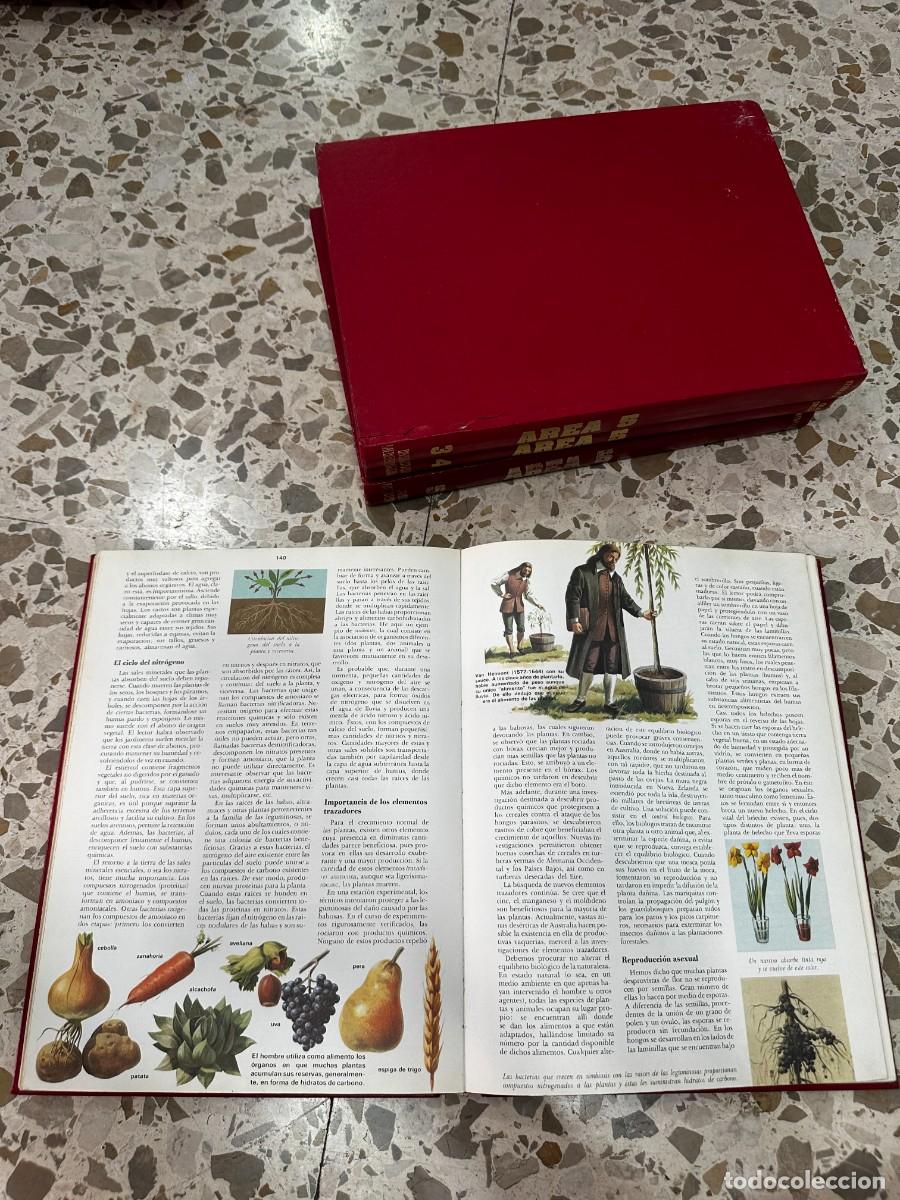 Libros de segunda mano: ENCICLOP&Eacute;DIA AREA-5 ED. TIMUN MAS. 1976 - Foto 7