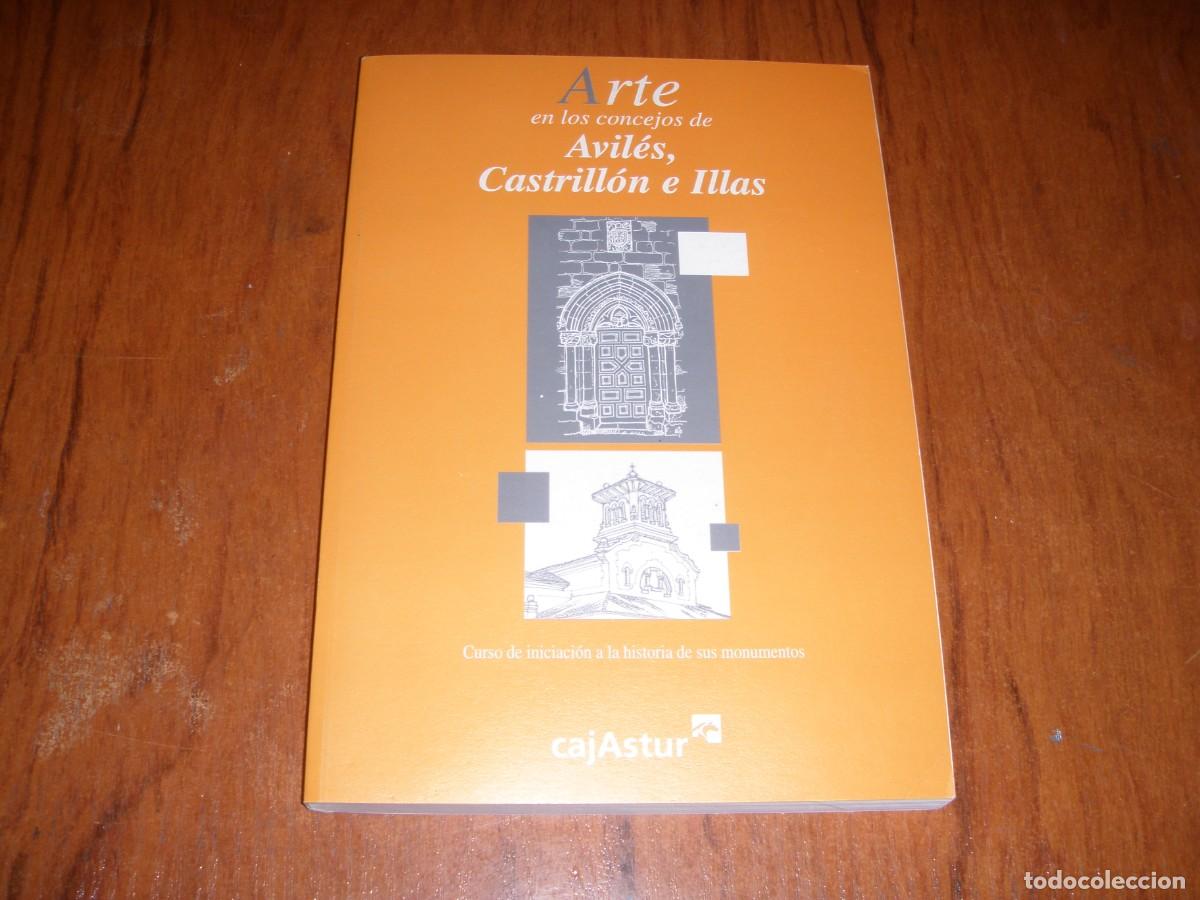 Libros de segunda mano: ARTE EN LOS CONCEJOS DE AVIL&Eacute;S, CASTRILL&Oacute;N E ILLAS - Foto 1