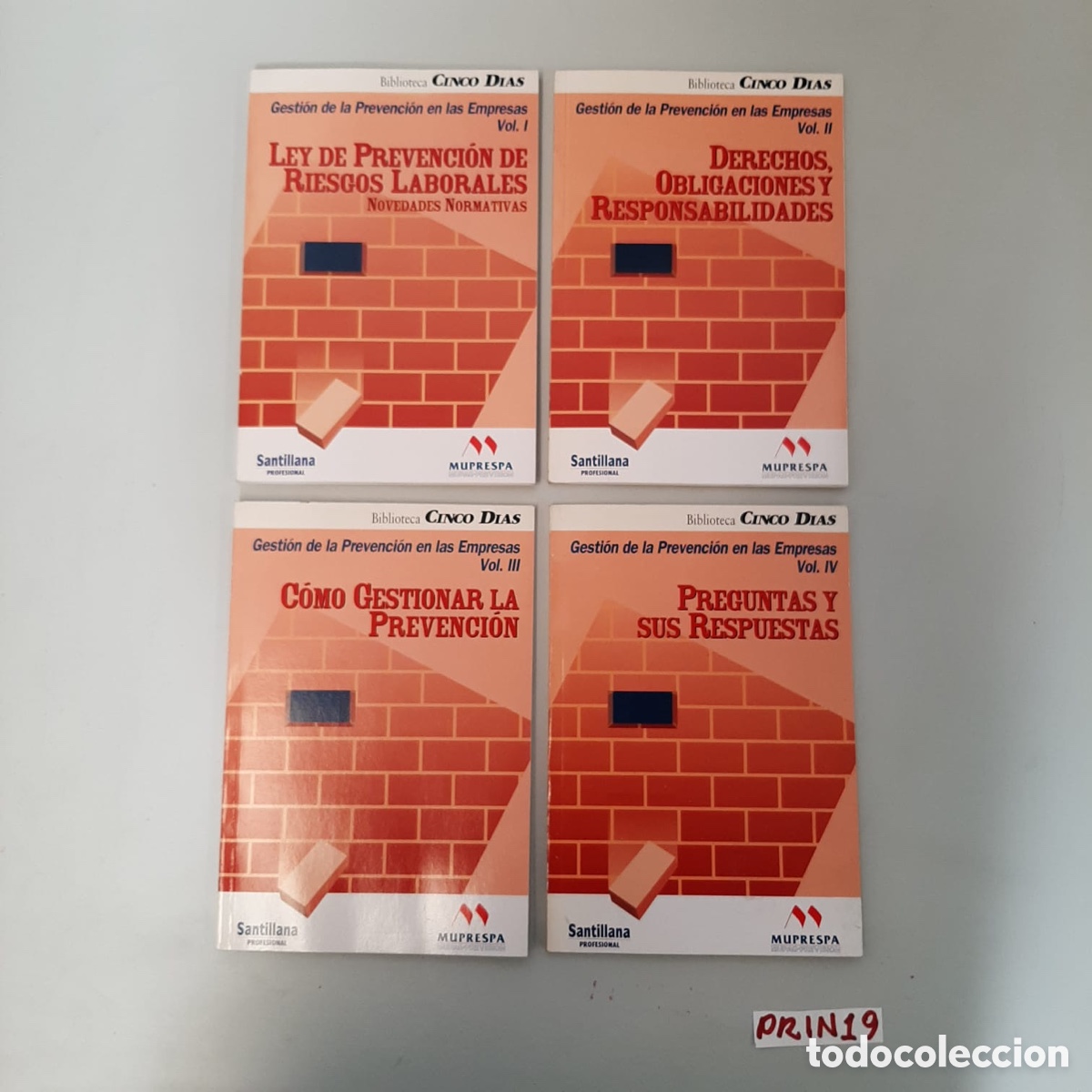 Libros de segunda mano: GESTION de la PREVENCION en las EMPRESAS - Foto 1