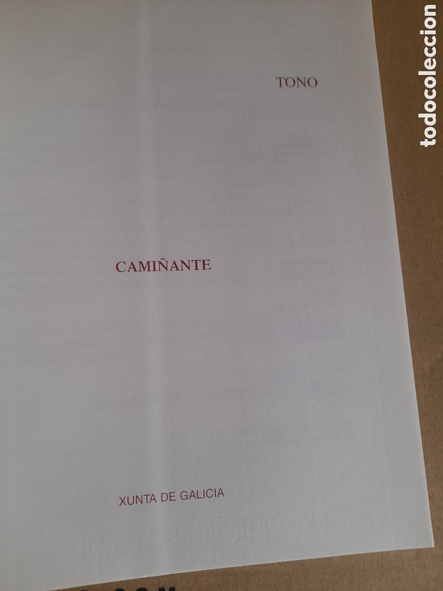 Libros de segunda mano: Libro, Tono, artista Gallego - Foto 2