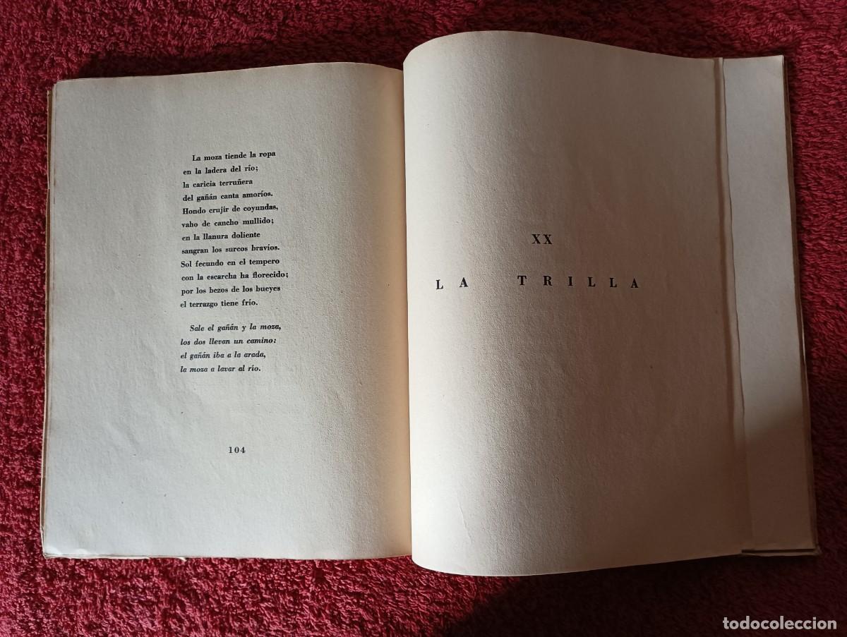Libros de segunda mano: PIEDRAS DE ROMANCERO - MARTIN ALONSO - Foto 14