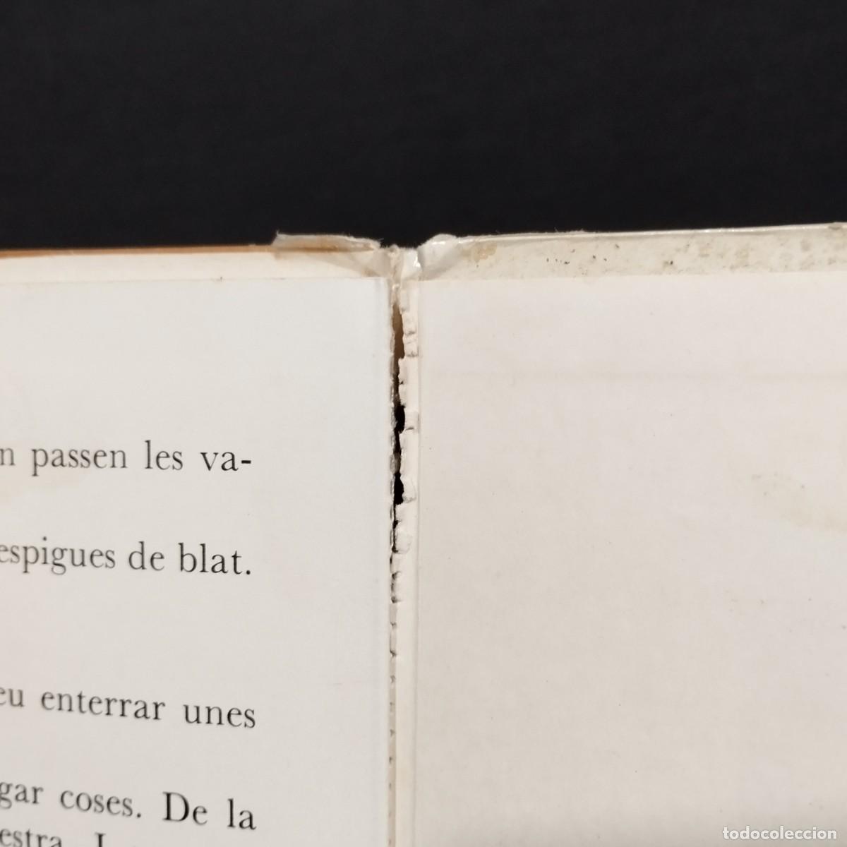 Libros de segunda mano: QU&Egrave; &Eacute;S EL BLAT - TEIDE - AM&Egrave;LIA BENET - MARIA RIU / 24.652 - Foto 5
