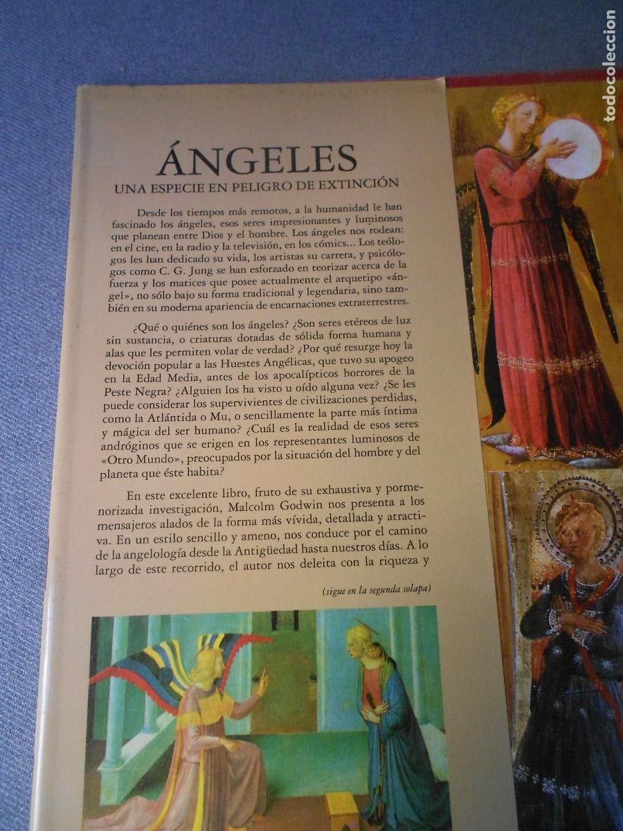 Libros de segunda mano: ANGELES - Foto 2