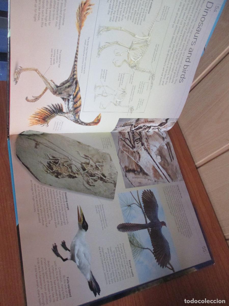 Libros de segunda mano: LIBRO DINOSAURS EYE TO EYA ( EN INGLES ) , DK - Foto 4