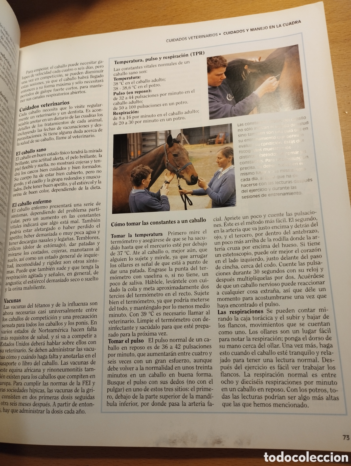 Libros de segunda mano: GU&Iacute;A COMPLETA DEL CABALLO (JANE HOLDERNESS - RODDAM) - Foto 10