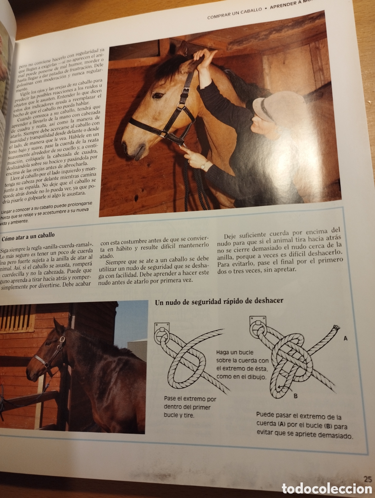 Libros de segunda mano: GU&Iacute;A COMPLETA DEL CABALLO (JANE HOLDERNESS - RODDAM) - Foto 13