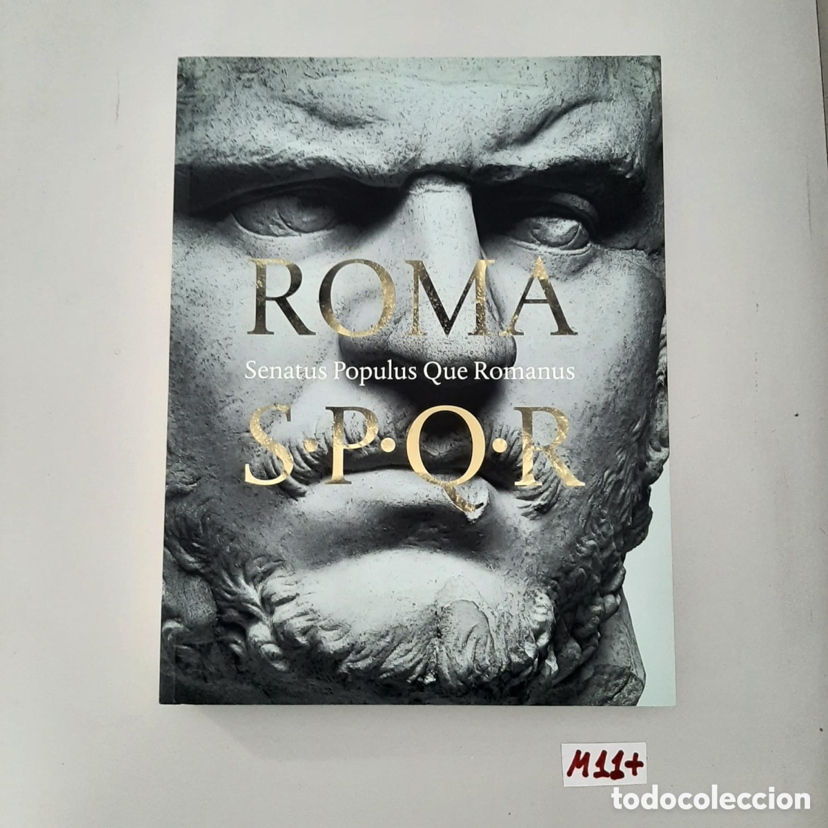 Libros de segunda mano: ROMA S. P. Q. R. SENATUS POPULUS QUE ROMANUS - Foto 1