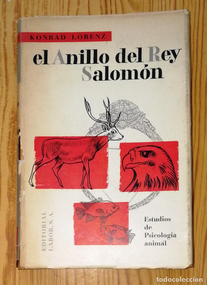 El anillo del 2025 rey salomon konrad lorenz