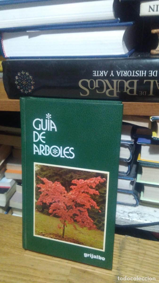 Libros de segunda mano: GU&Iacute;A DE ARBOLES, GRIJALBO - Foto 1