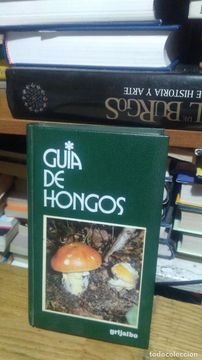 Libros de segunda mano: GU&Iacute;A DE HONGOS, ED. GRIJALBO - Foto 1