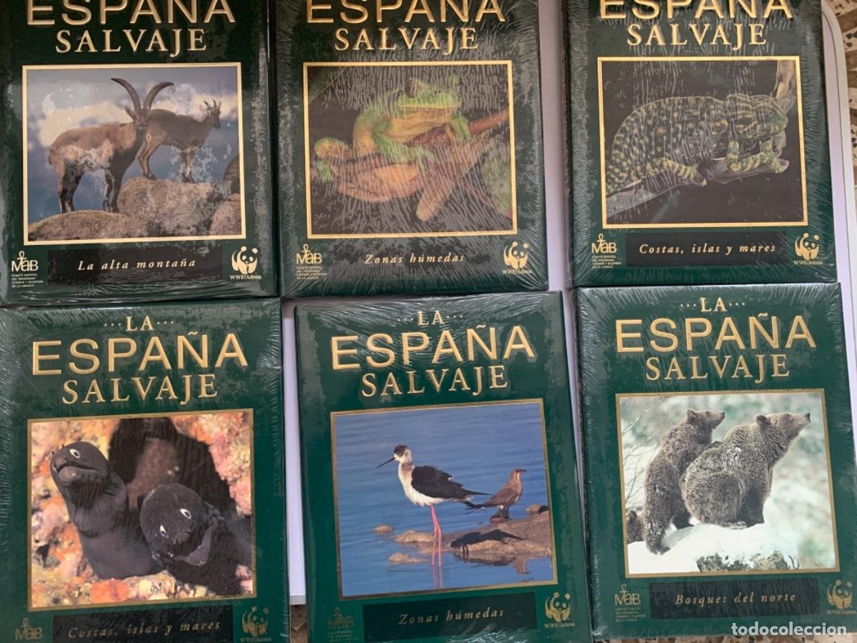 Libros de segunda mano: Lote de 20 tomos de &ldquo;La Espa&ntilde;a Salvaje&rdquo; - Foto 1