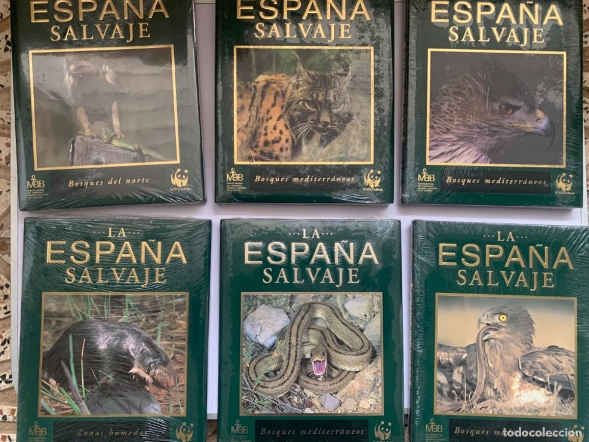 Libros de segunda mano: Lote de 20 tomos de &ldquo;La Espa&ntilde;a Salvaje&rdquo; - Foto 2