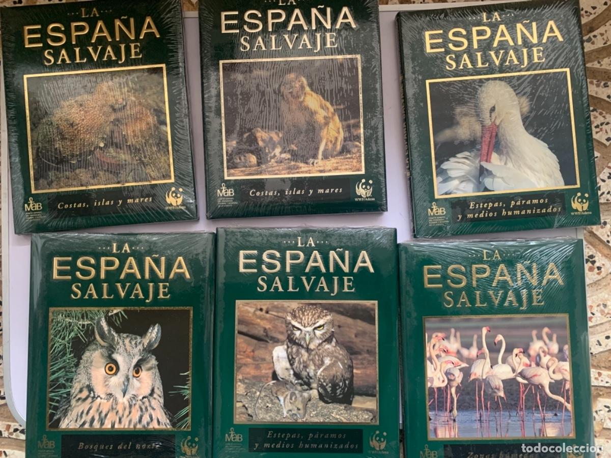 Libros de segunda mano: Lote de 20 tomos de &ldquo;La Espa&ntilde;a Salvaje&rdquo; - Foto 3
