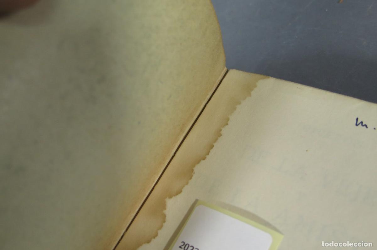 Libros de segunda mano: De la vejez y de la amistad Cicer&oacute;n. PUIG - Foto 2