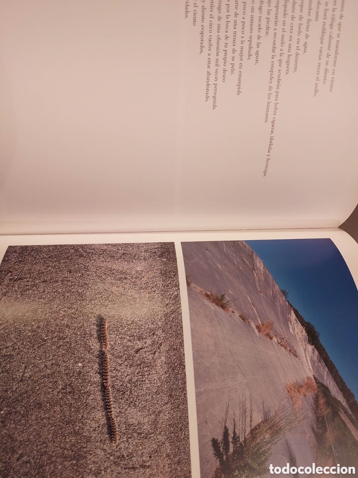 Libros de segunda mano: FRANCESC TORRES, CIRCUITOS CERRADOS, 2000 - Foto 3
