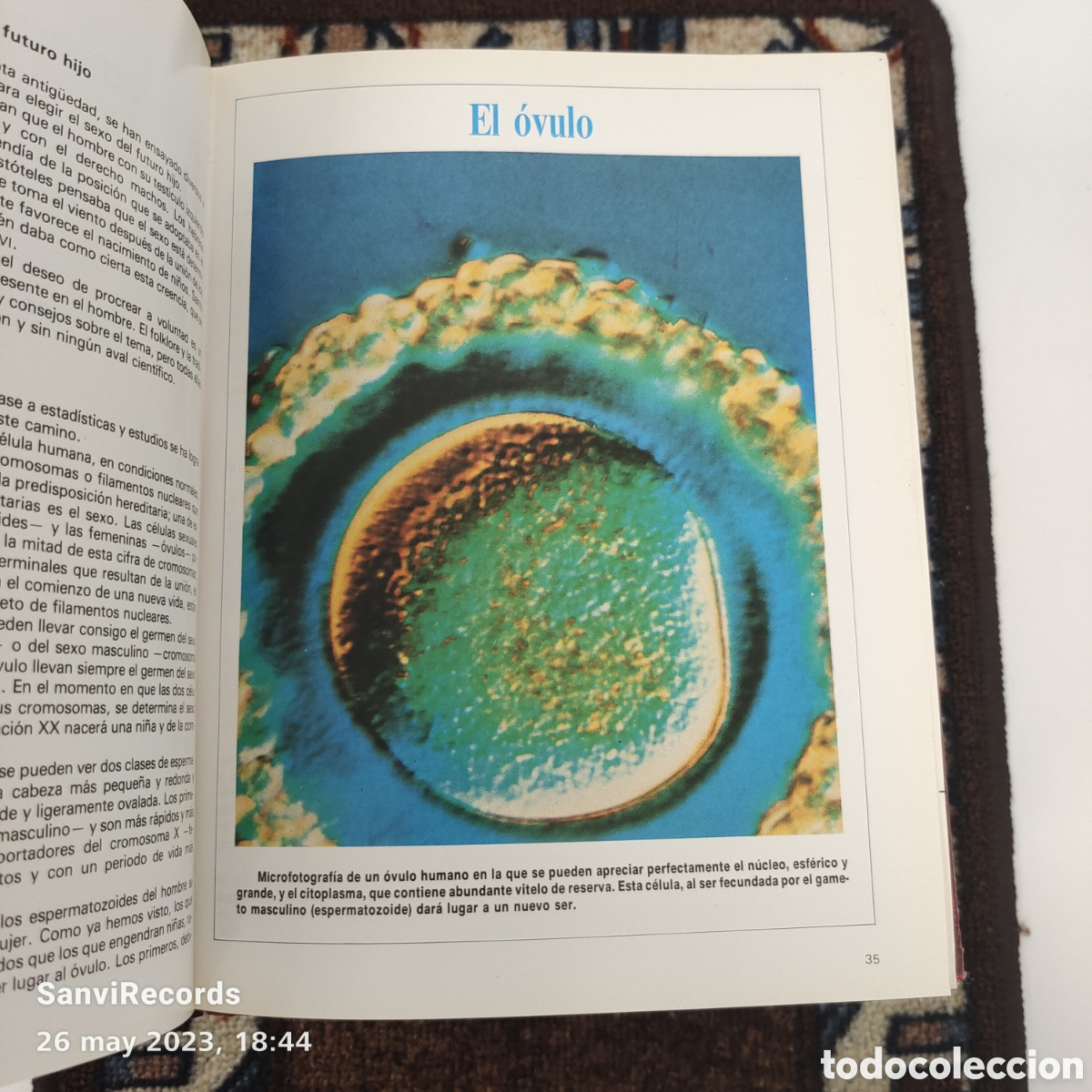 Libros de segunda mano: PROGRAMA DE FORMACI&Oacute;N DE PADRES, 8 TOMOS (OCEANO) - Foto 3