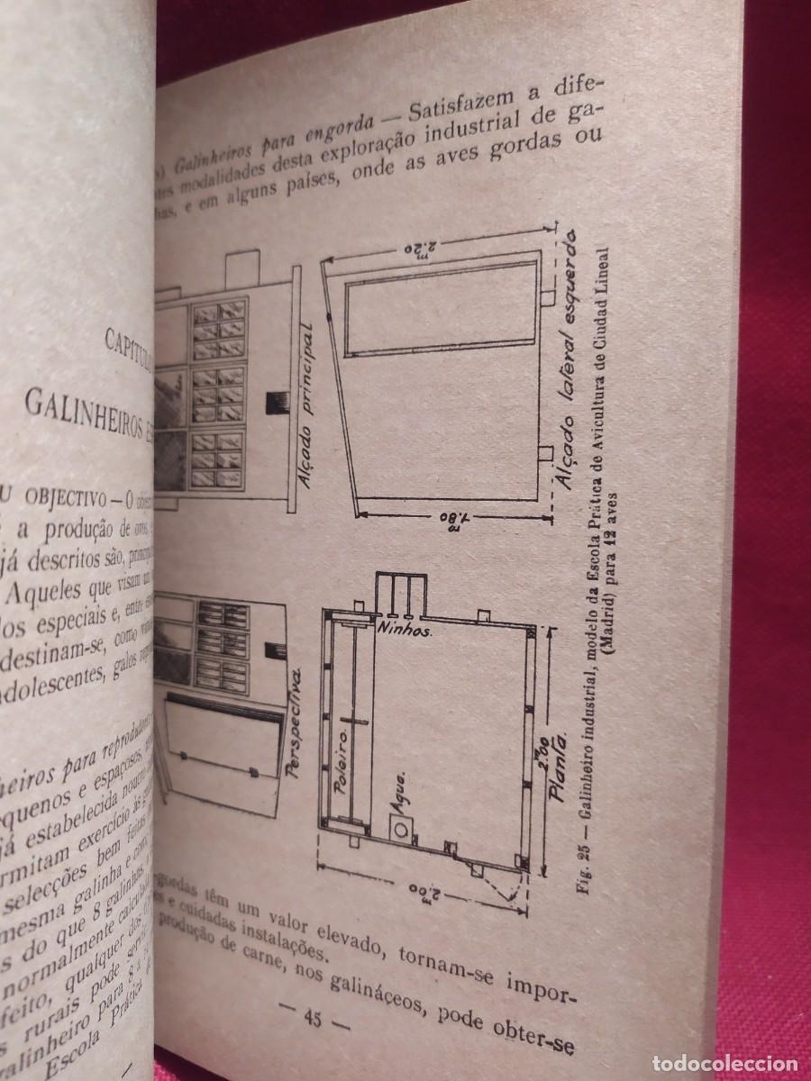 Libros de segunda mano: 1948. O galinheiro. Constru&ccedil;oes rurais. - Foto 15