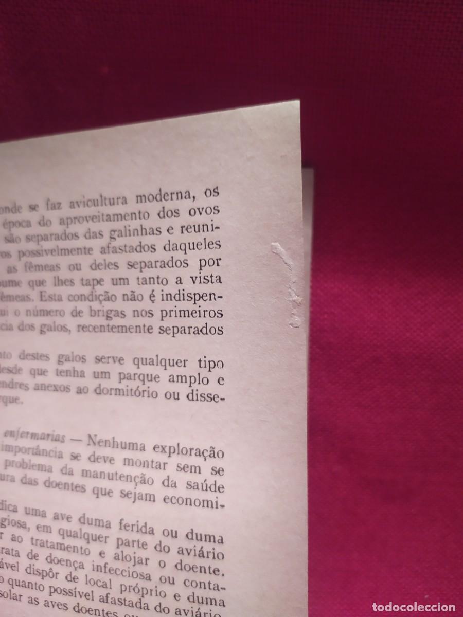 Libros de segunda mano: 1948. O galinheiro. Constru&ccedil;oes rurais. - Foto 16