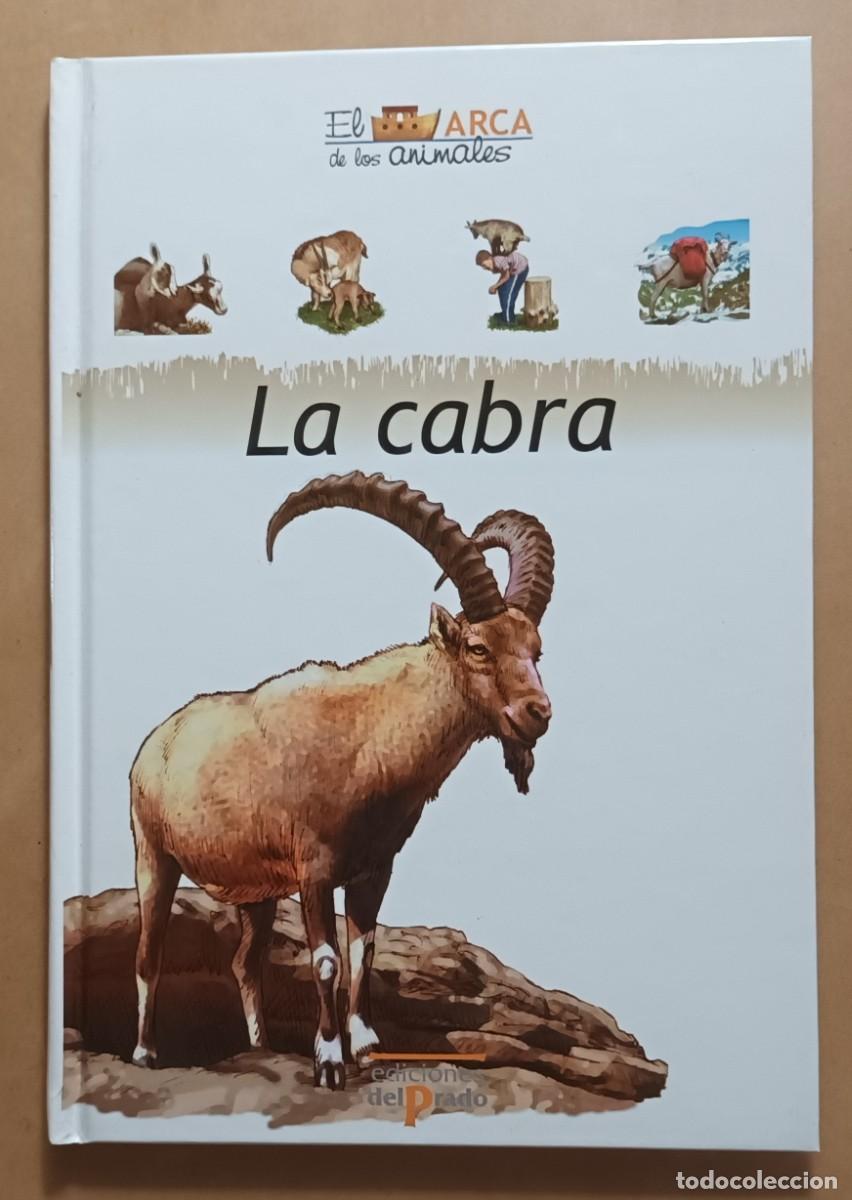 Libros de segunda mano: EL ARCA DE LOS ANIMALES - LA CABRA - ED. DEL PRADO - 2004 - Foto 1