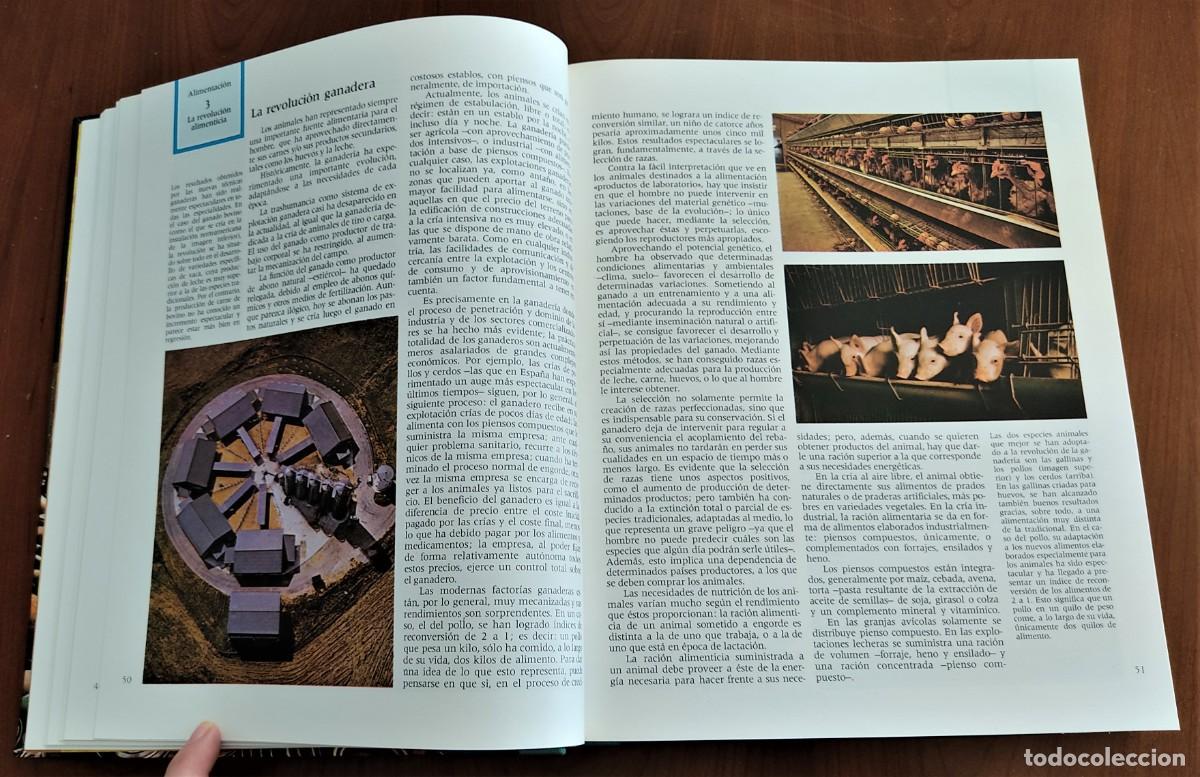 Libros de segunda mano: TEMARIO 1982 JUSTICIA INTERNACIONAL - DIFUSORA INTERNACIONAL - Foto 6