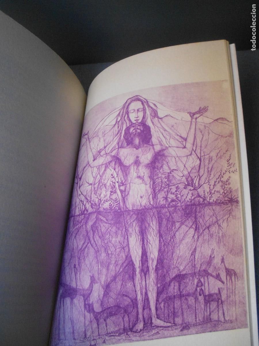 Libros de segunda mano: YO SOY CUANDO COMPRENDO - Foto 6