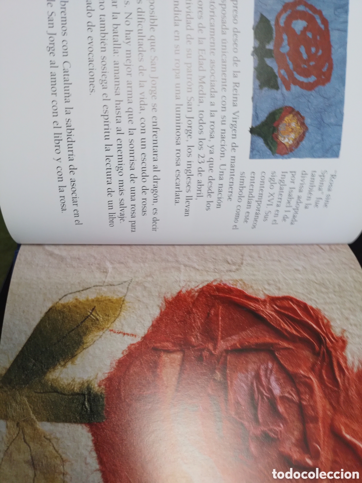 Libros de segunda mano: EL LIBRO DE LA ROSA, ARTE / ART, RBA, 2003 - Foto 4