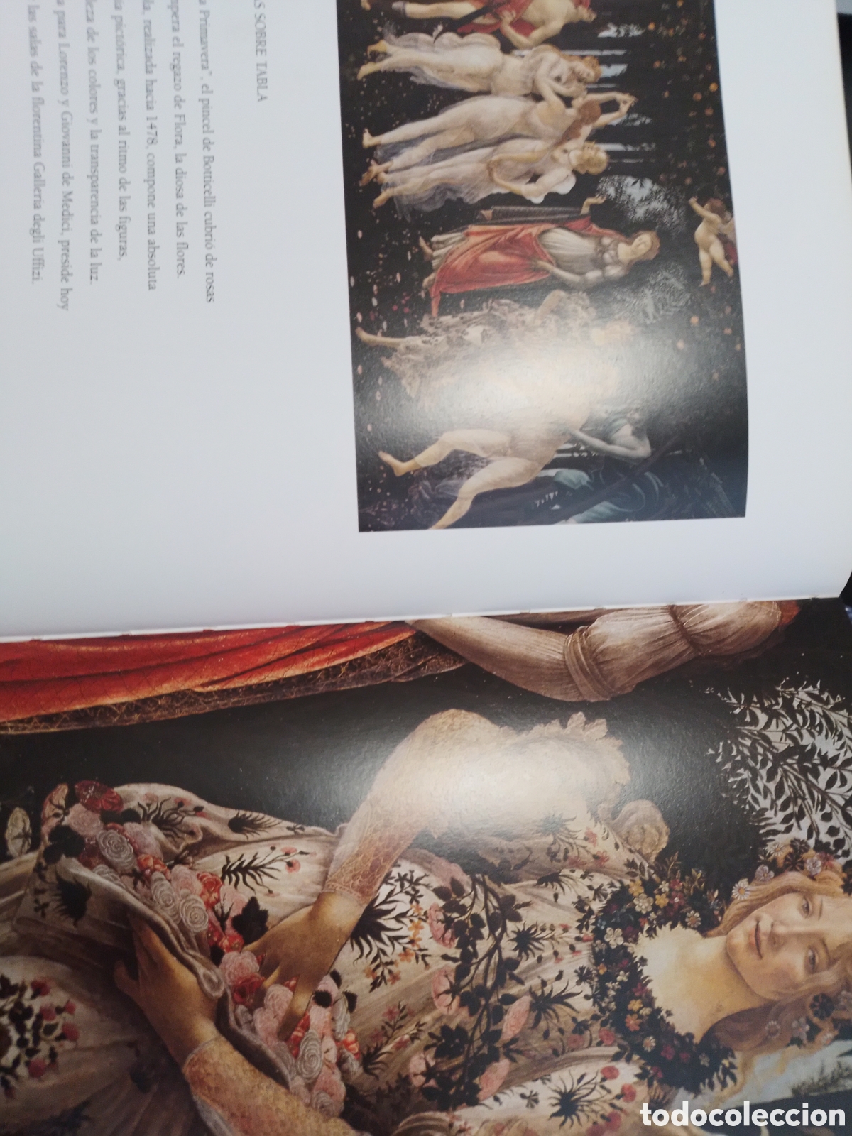 Libros de segunda mano: EL LIBRO DE LA ROSA, ARTE / ART, RBA, 2003 - Foto 5