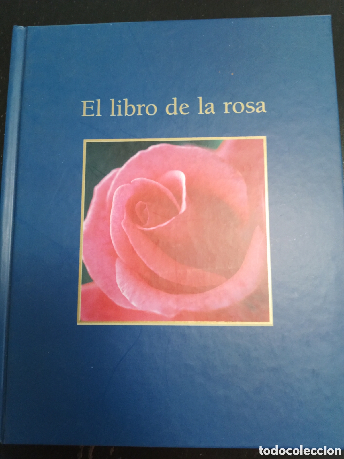 Libros de segunda mano: EL LIBRO DE LA ROSA, ARTE / ART, RBA, 2003 - Foto 1