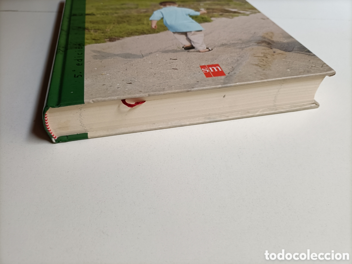 Libros de segunda mano: Cuentos para sentir 2 . Educar los sentimientos Bego&ntilde;a Ibarrola - Foto 3