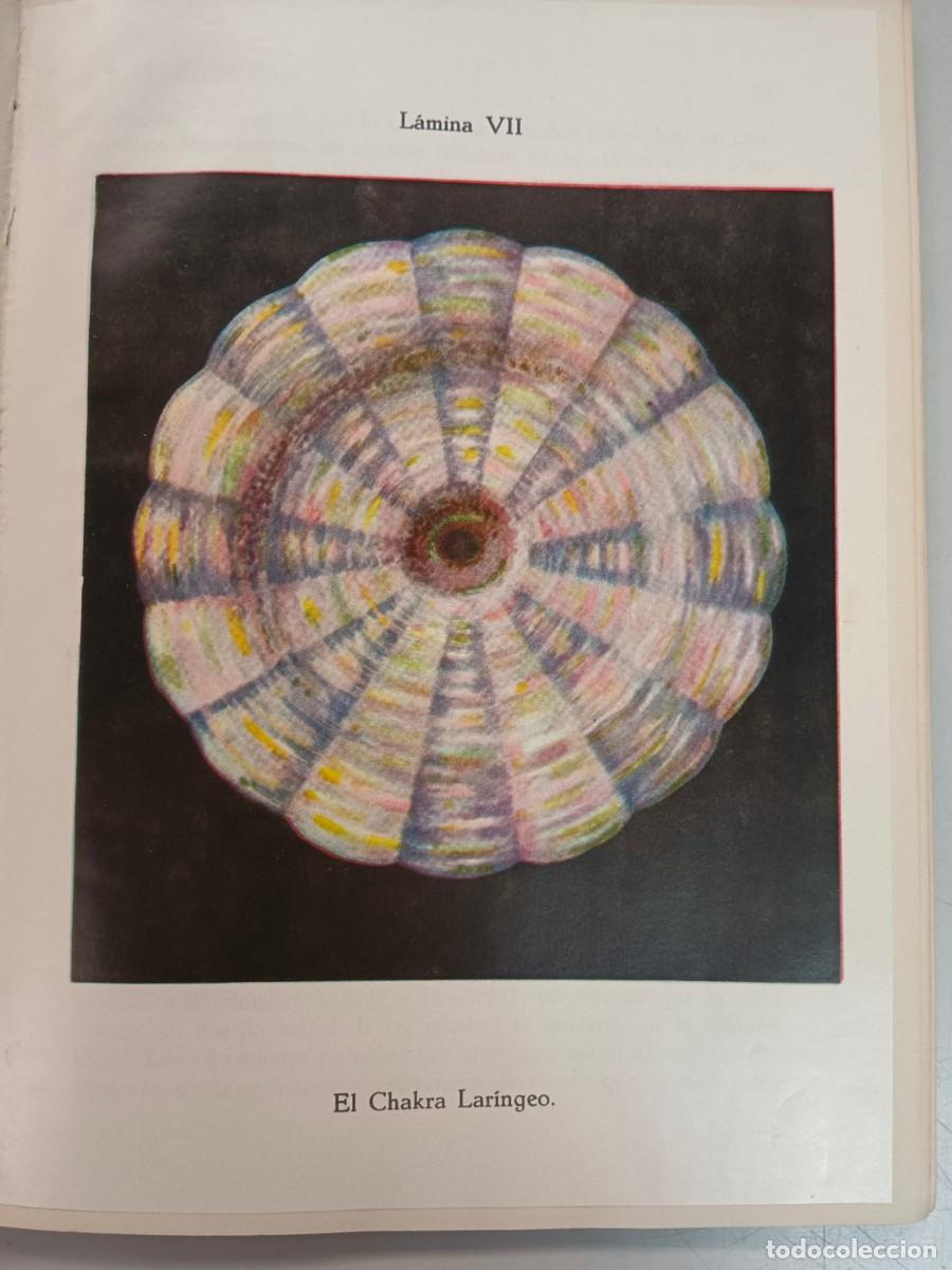 Libros de segunda mano: LOS CHAKRAS - UNA MONOGRAFIA - C. W. Leadbeater - Foto 2