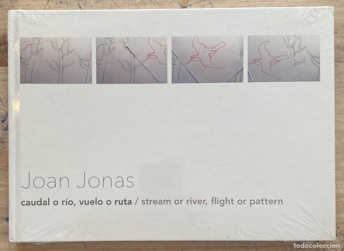 Libros de segunda mano: Joan Jonas. Caudal o R&iacute;o, Vuelo o Ruta/ Stream or River, Flight or Pattern - Foto 1