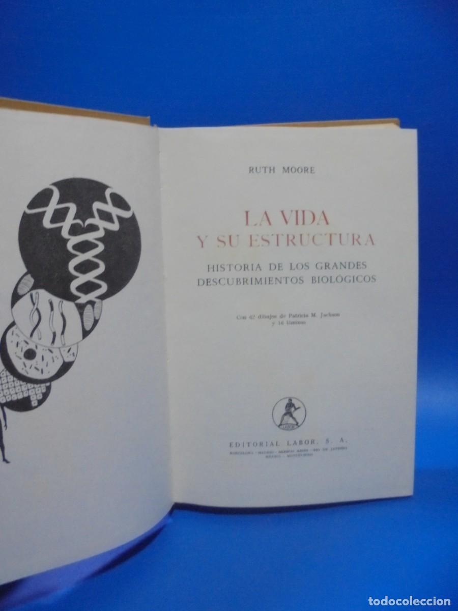 Libros de segunda mano: LA VIDA Y SU ESTRUCTURA. RUTH MOORE. EDITORIAL LABOR. 1963. PAGS: 431. - Foto 2