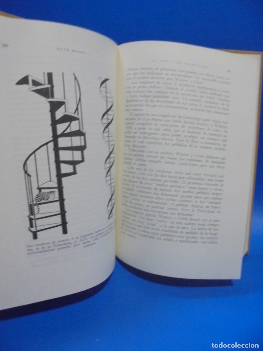 Libros de segunda mano: LA VIDA Y SU ESTRUCTURA. RUTH MOORE. EDITORIAL LABOR. 1963. PAGS: 431. - Foto 3