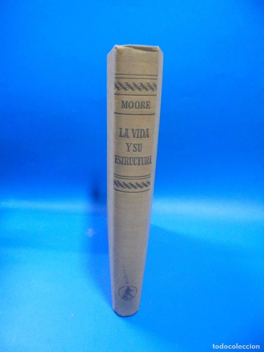 Libros de segunda mano: LA VIDA Y SU ESTRUCTURA. RUTH MOORE. EDITORIAL LABOR. 1963. PAGS: 431. - Foto 5