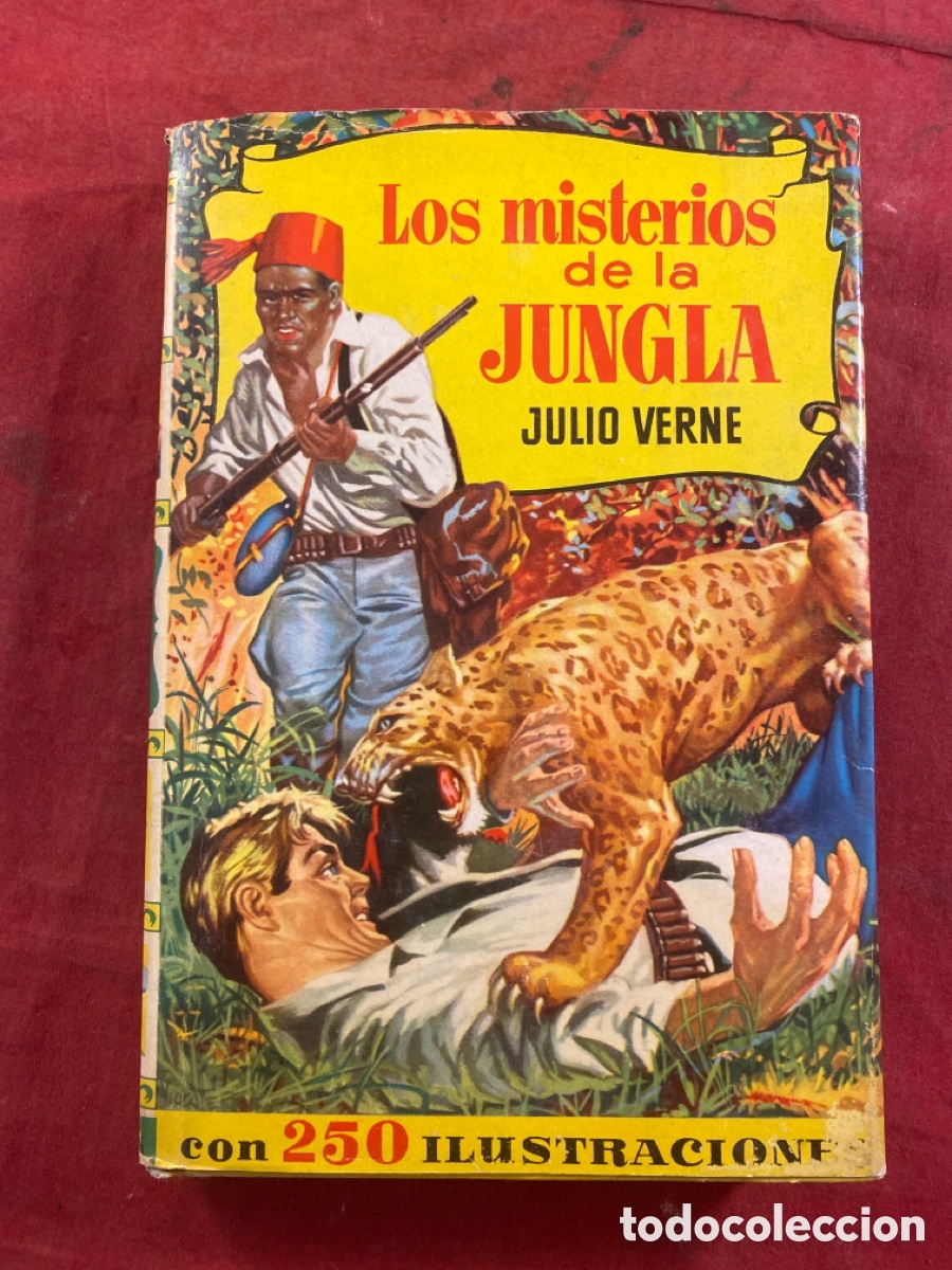 Libros de segunda mano: LOS MISTERIOS DE LA JUNGLA JULIO VERNE - Foto 1